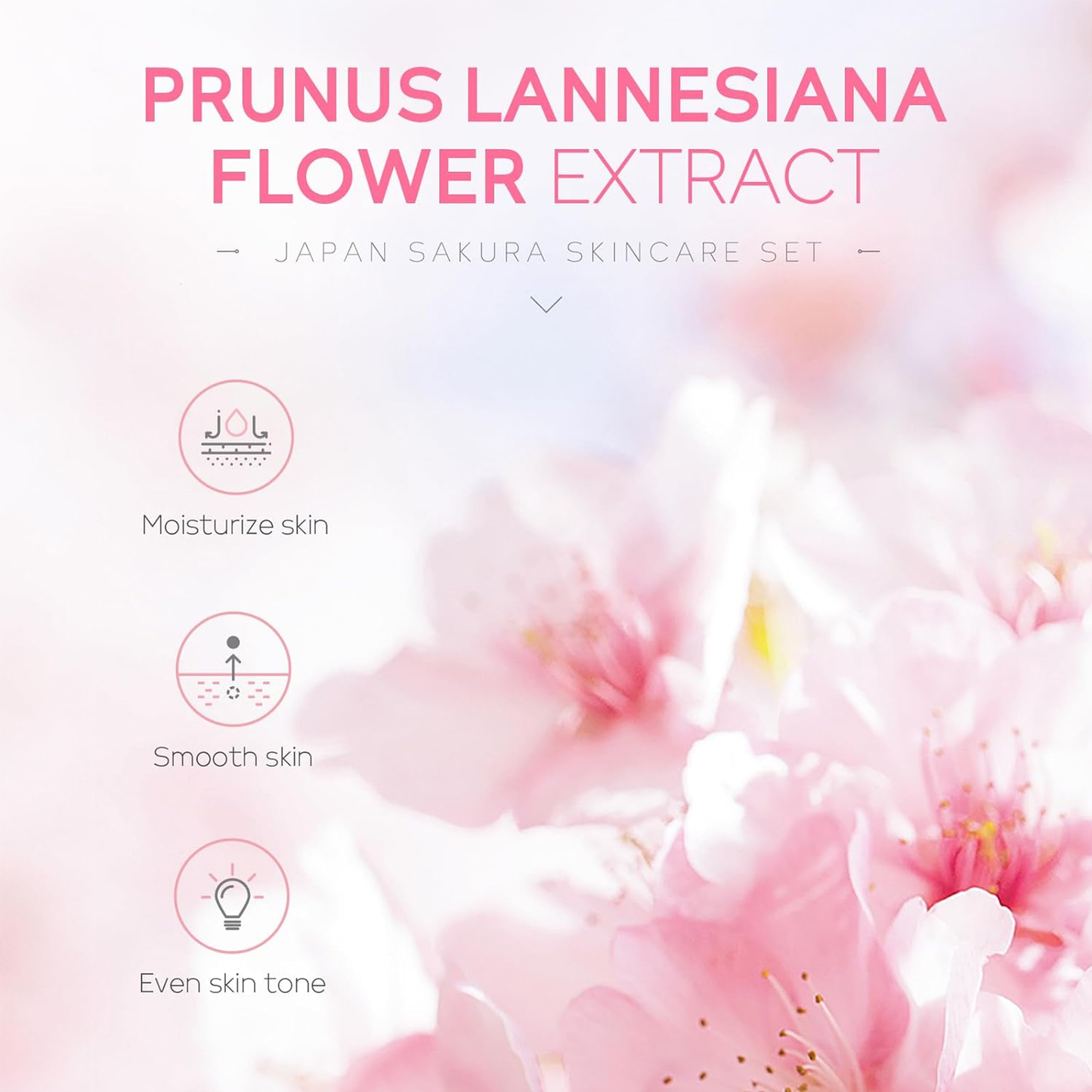 6 Pcs Sakura Skin Care Set - Even Skin Tone, Hydrating, Rejuvenating, And - Includes Facial Cream, Serum, And Eye Cream Gifts