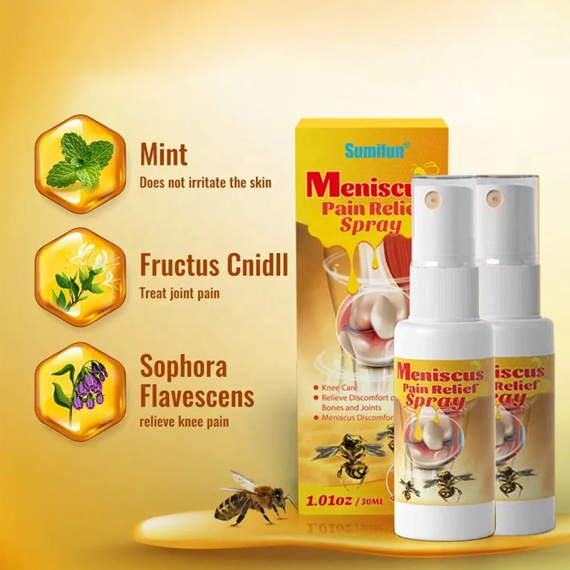2PCS Bee Venom Pain and Bone Healing Spray Bee Venom Pain Cream Joint & Bone New Zealand Bee Venom Joint and Bone Therapy Spray Bee Venom Joint Relief Gel Neck Waist Leg Pain Relief 30ML